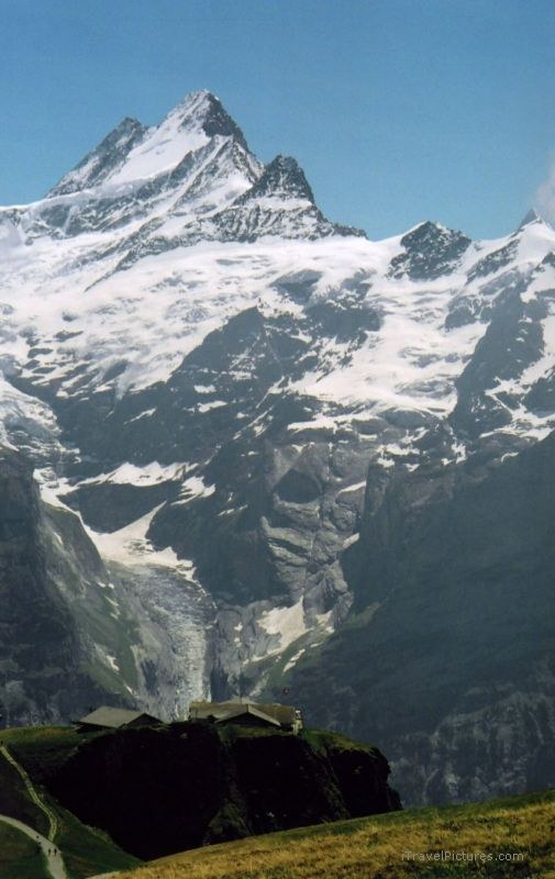 Grindelwald Shrekhorn valley mountain